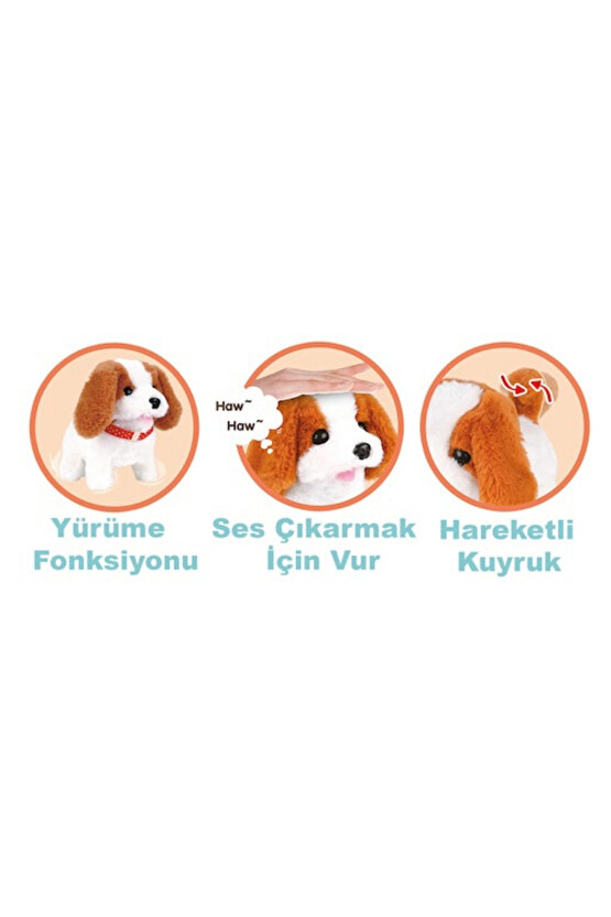 Sesli Yürüyen Peluş Köpek Taşıma Çantalı Aksesuarlı Tasmalı Köpek Aksesuarı Fonksiyonlu 1+ Yaş