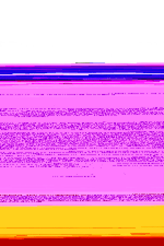 DİSK KİLİDİ 110 Desibel