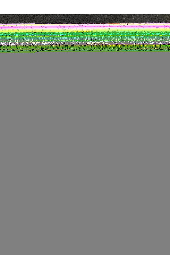 Newport H2 Su Yeşili Kadın Sandelet 1030727