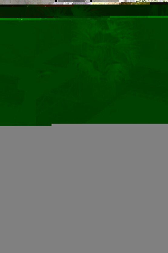 TAŞINABİLİR MESH NEBÜZLİZATÖR HAVA BUHAR CİHAZI YETİŞKİN VE ÇOCUKLAR İÇİN SESSİZ HAVA MAKİNESİ