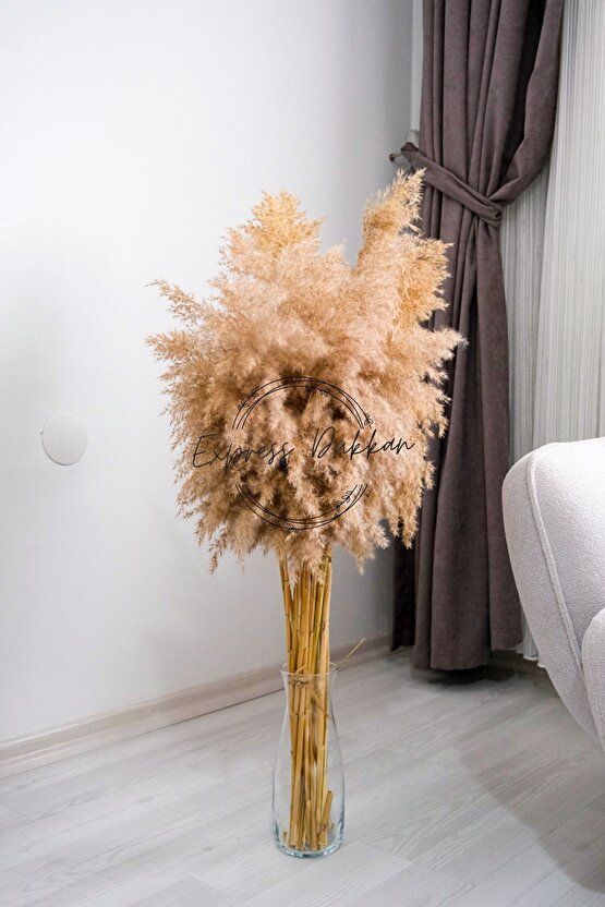 15 Adet Doğal Pampas Kuru Çiçek ile Evine Şık Dokunuş