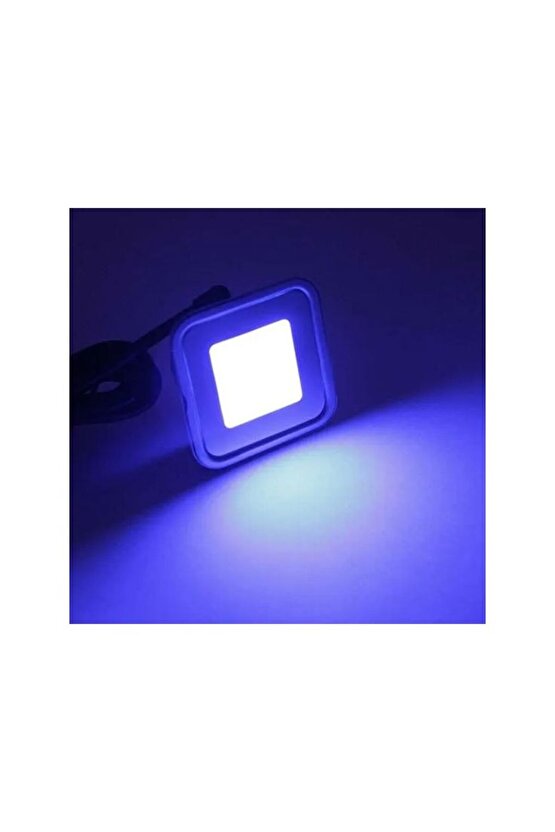 50 Watt Mavi Işık Elektrikle Çalışır Slim Led Projektör, Bahçe, Çiçek, Ağaç Armatürü 16 x 12 Cm