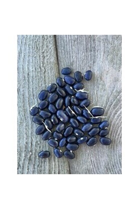 Sarı Fasulye Tohumu (30 adet) (Oturak)