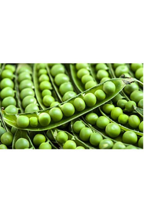 Doğal Sanayilik Bezelye Tohumu - 25 Adet