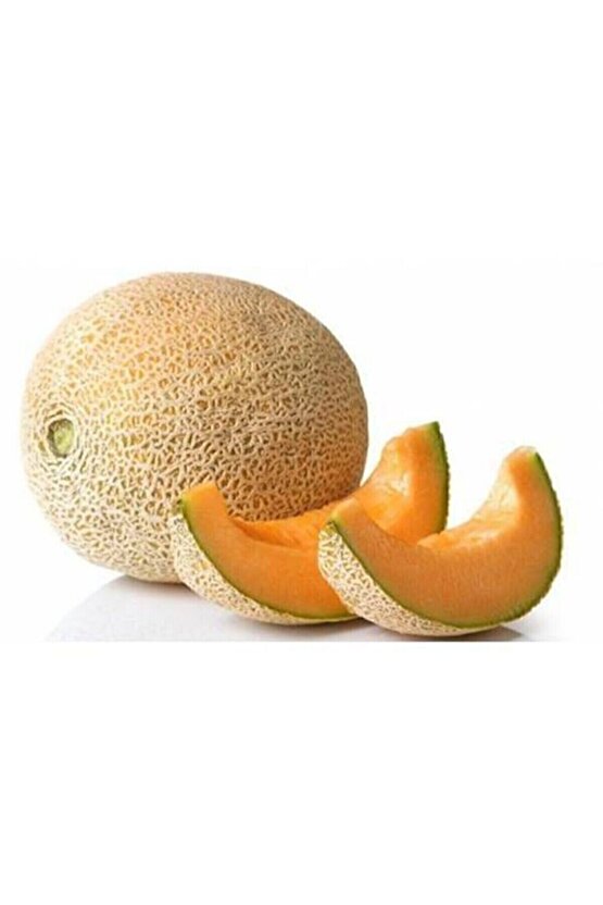 Iri Bal Ananas Kavunu Tohumu Kavun Tohumu 15 Adet Tohum