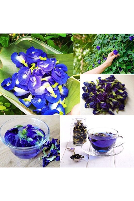 Doğal Mavi Kelebek Çayı 30 gr – Soğuk & Sıcak Demlenebilir - Blue Butterfly Pea Flower