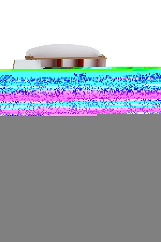 Kadın Bato Bikini Külot 652 - 12 Adet