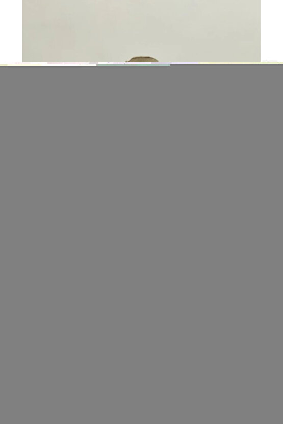 Renault Için Kilometre Sıfırlama Parçası