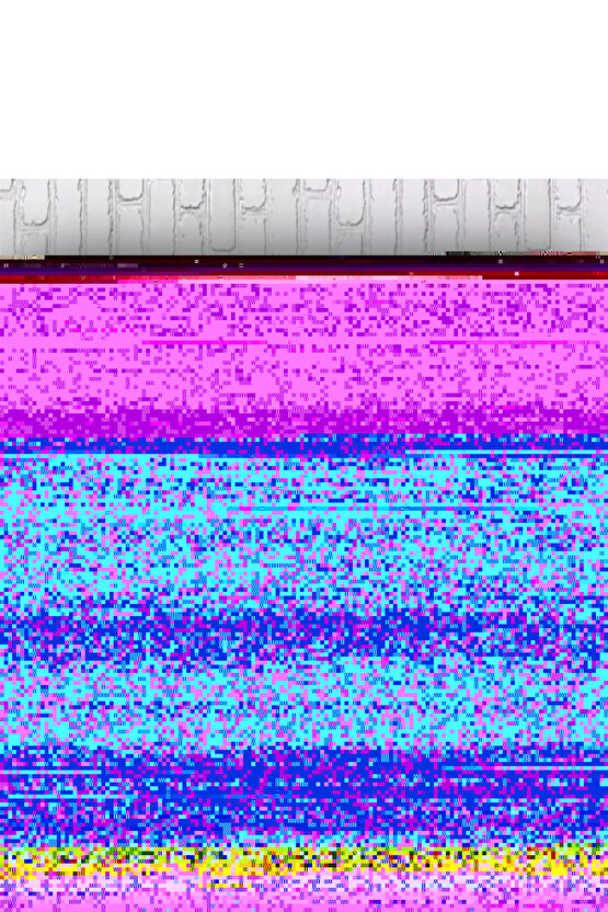 Kadın Kaz Ayağı Desenli Kemerli, Astarlı Vatkalı Ceket 3 Lü Takım