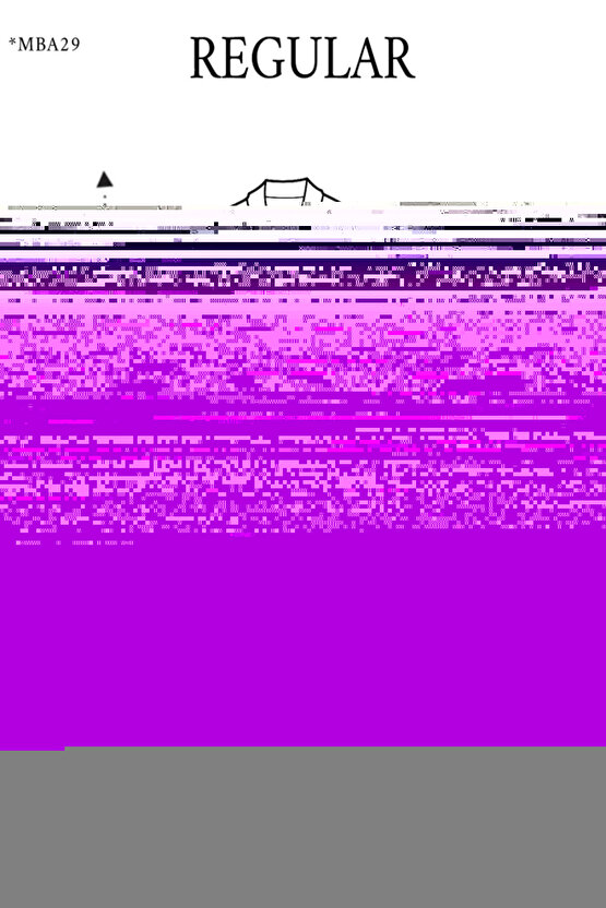 3 Parça Çerçeve Görünümlü Mdf Tablo Seti antik mısır aslan kelebek çiçek motifi