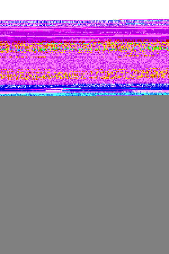 Kadın Uzun Kollu Kapşonlu Bağcıklı şardonlu Kaşkorse Bluz