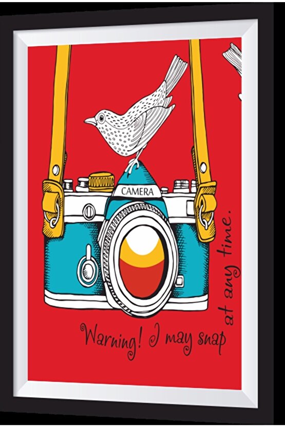 Mavi Fotoğraf Makinesi Kuş Sanatsal Çerçeve Görünümlü Ahşap Tablo