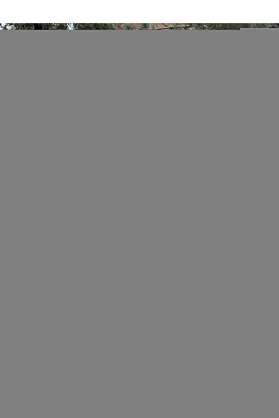 Kuğu Mutfak&Lavabo Batarya Siyah Balık Boru