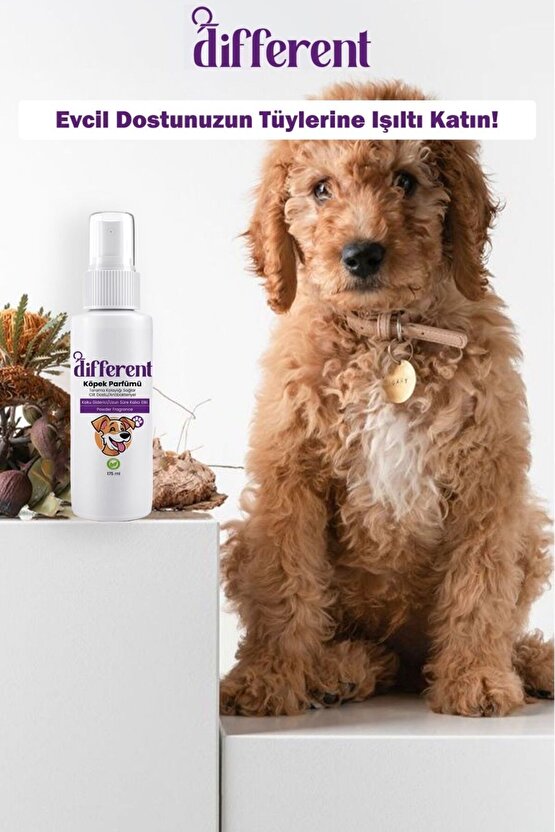 Köpek parfümü 175 ml