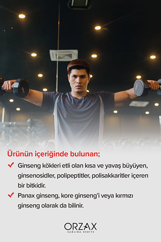 Panax Ginseng 500 mg 60 Kapsül