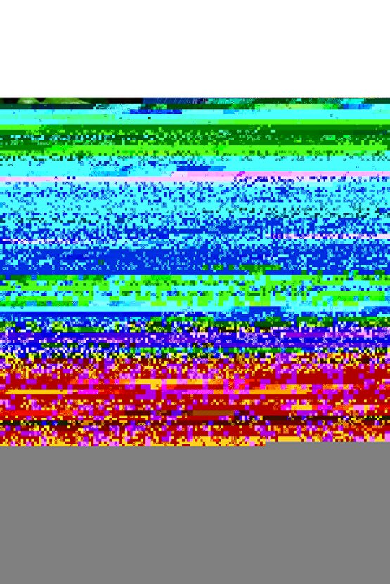 Erkek Bisiklet Yaka çizgi Desenli Ribanalı Kısa Kollu Tshirt