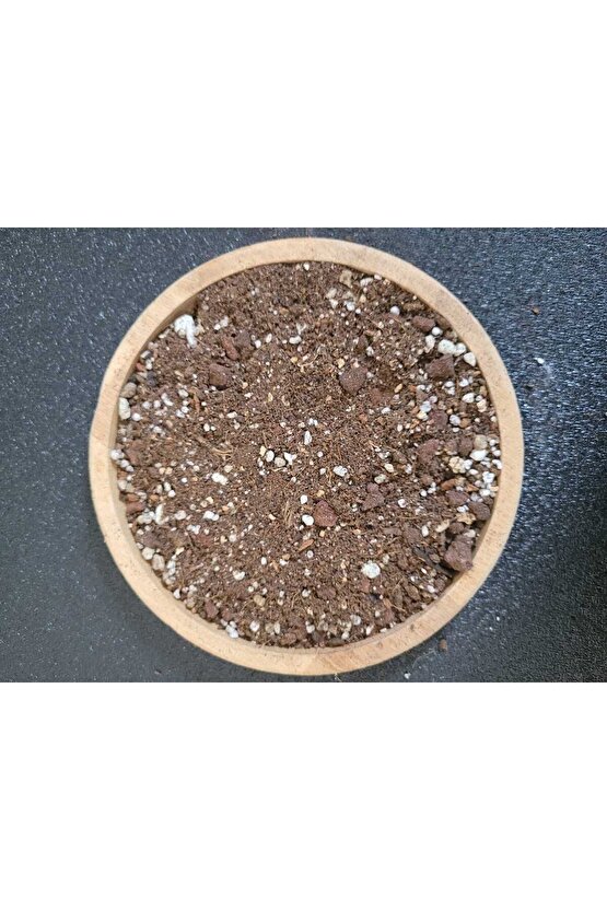 Kaktüs Sukulent Toprağı 2 lt  Yüksek Kalite İthal Torf Karışımlı