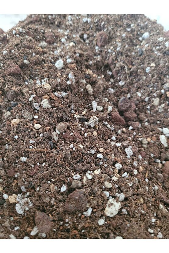 Kaktüs Sukulent Toprağı 2 lt  Yüksek Kalite İthal Torf Karışımlı