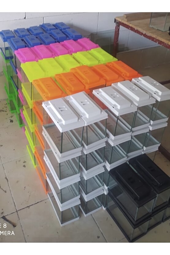 20cm 4 litre akvaryum balık alanı