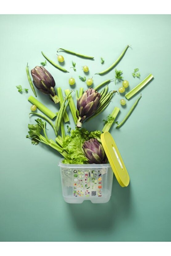 Sera Buzdolabı Saklama Kabı 1.8 Litre 2li Set