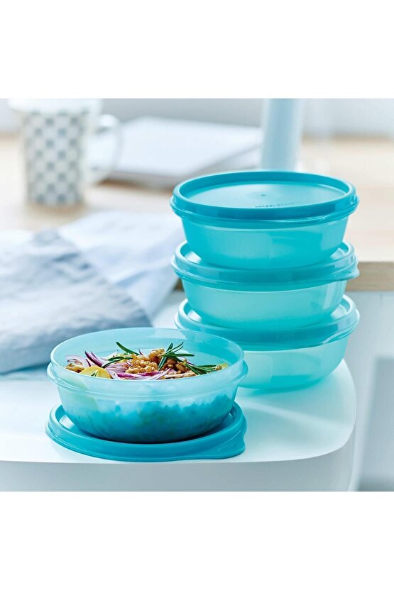 Saklama ve Servis Kabı 4lü Set 300 ml