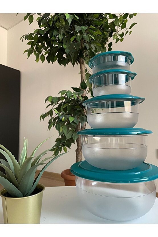 Kristalin 5li Saklama Ve Servis Kabı