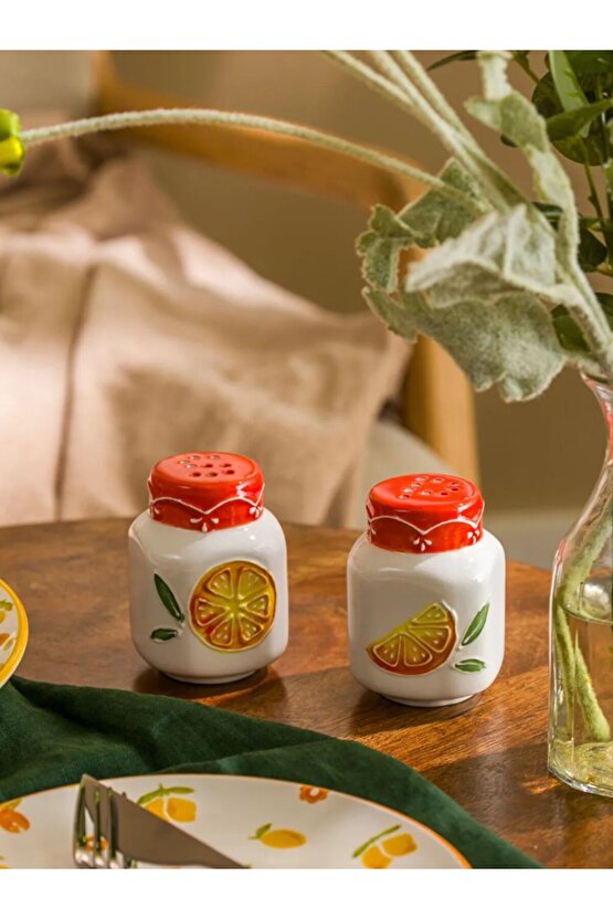 Karışık Baskılı Seramik Tuzluk ve Biberlik Seti
