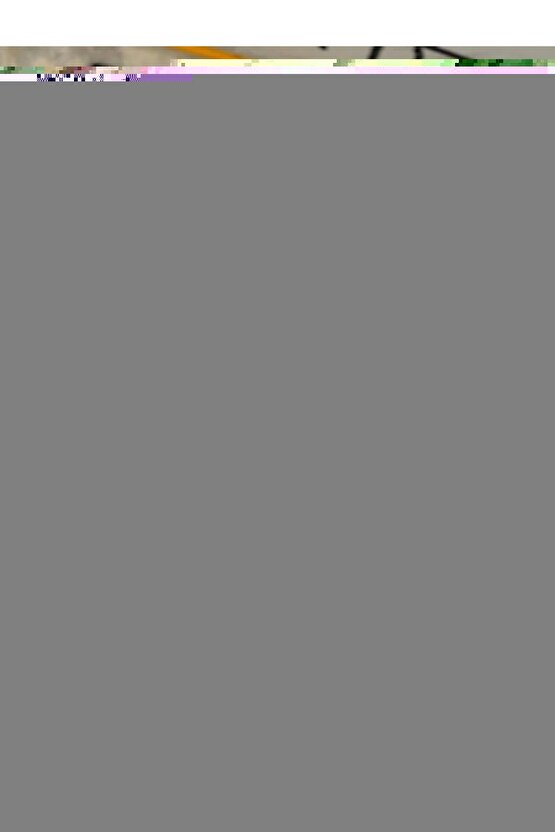 Mavi Baskılı Yakalı Kısa Kollu T-shirt