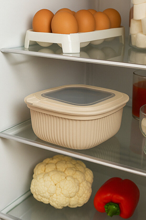 3lü Renkli Kilitli Kapaklı Saklama Kabı Difrize Mikrodalga ve Buzdolabı Uyumlu Düzenleyici