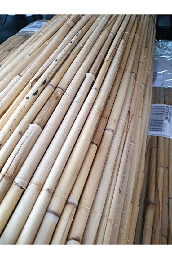 Kamış Çit Hasır Çit 1x4,5 Metre Eni 1 Metre Uzunluk 4,5 Metre