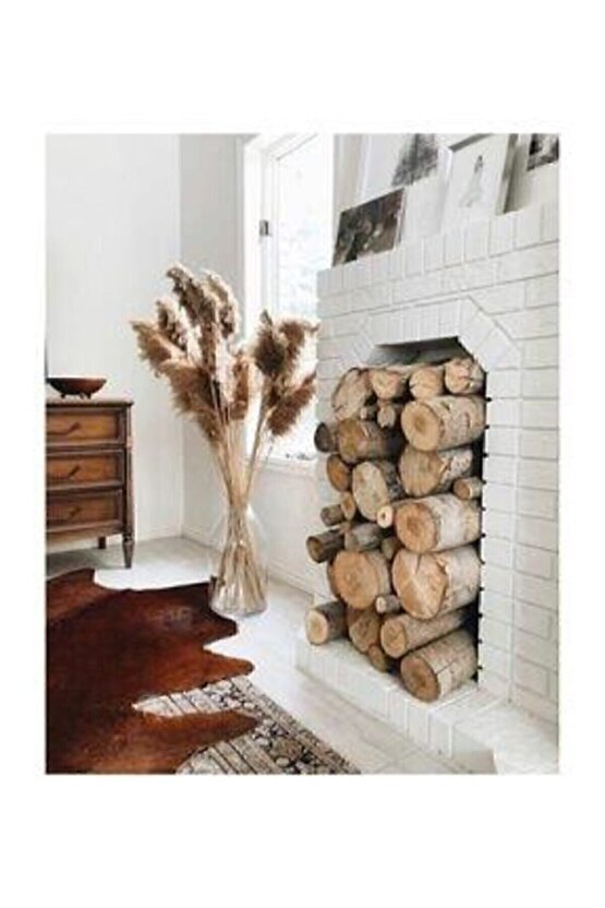 Kuru Çiçek Pampas 20 Adet 100 cm M-100