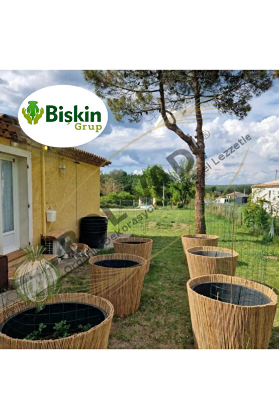 40cm X 3 Metre Natural Bambu Kamış Hasır Çit, Dekorasyon , Reedfence , Bahçe Duvarı , Gölgelik