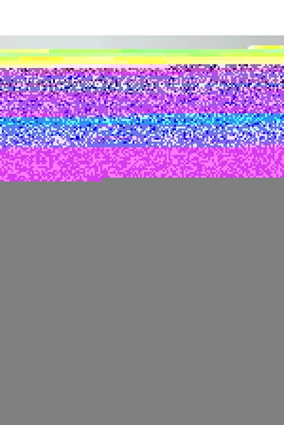 Pilates Yoga Seti Silikon Yoga ve Pilates Matı Evde Spor 4 Parça Fizik Tedavi Aerobik