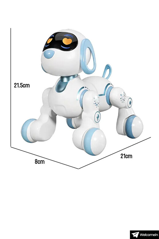 Oyuncak 30 Fonksiyon Uzaktan Kumandalı Şarjlı Sesli Işıklı Dokunma Algılama Programlama Robot Köpek