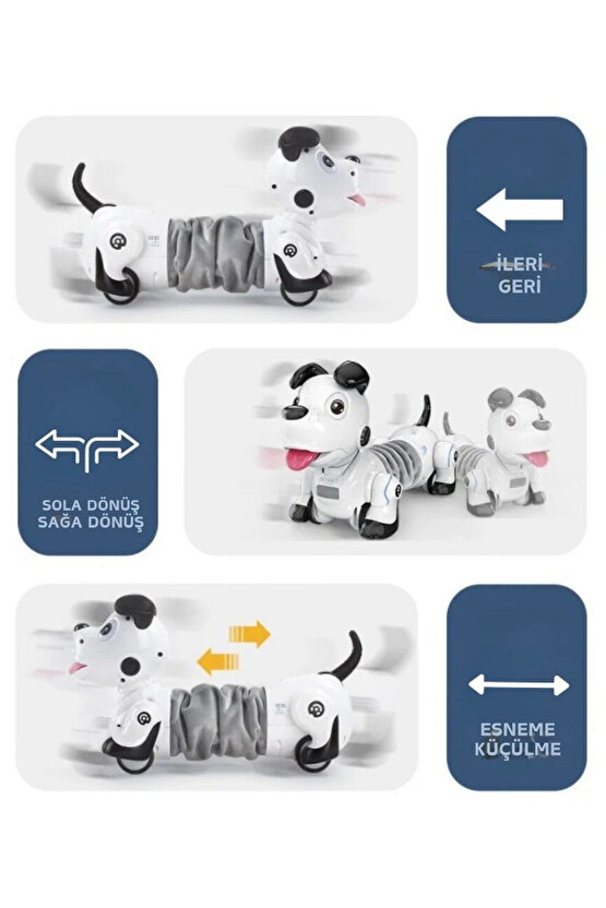 Oyuncak Uzaktan Kumandalı Işıklı ve Sesli Sevimli Akıllı Köpek Uzayıp Kısalabilen Aktivite Oyuncağı