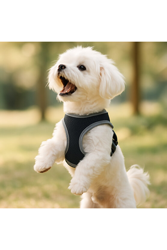 S-M-L Yıkanabilir Mesh Fileli Göğüs Tasması Nefes Alabilir Terletmez Dayanıklı Klipslı Cırtlı Tasma