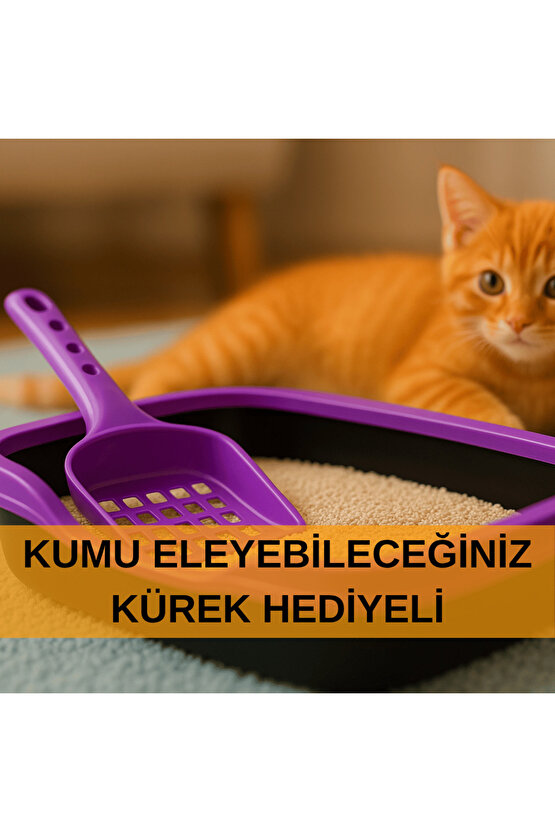 Kedi Tuvaleti Kürek Hediyeli Kedi Köpek Eğitim Tuvaleti Büyük Boy Tuvalet Kabı Mor Kedi Tuvalet Seti