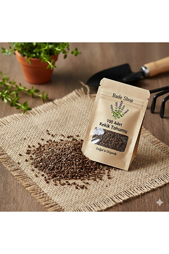 100 Adet Kekik Tohumu | Tıbbi Aromatik Bitki Tohumları | Doğal Kekik Bitkisi Tohumu