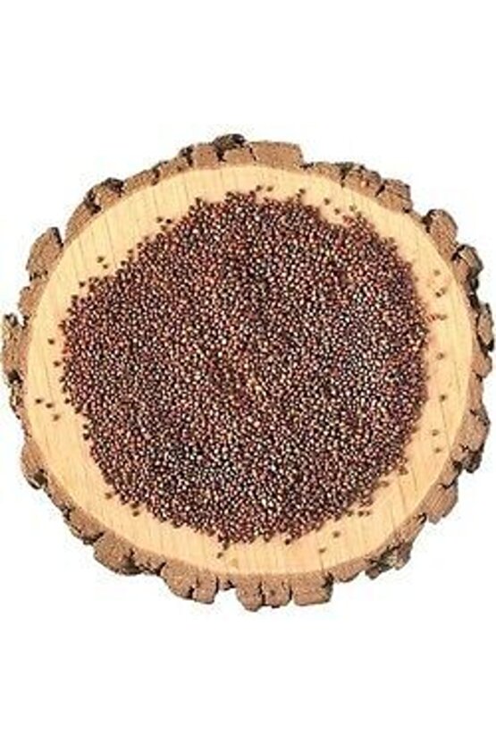 Zbd Roka Tohumu 100 gr