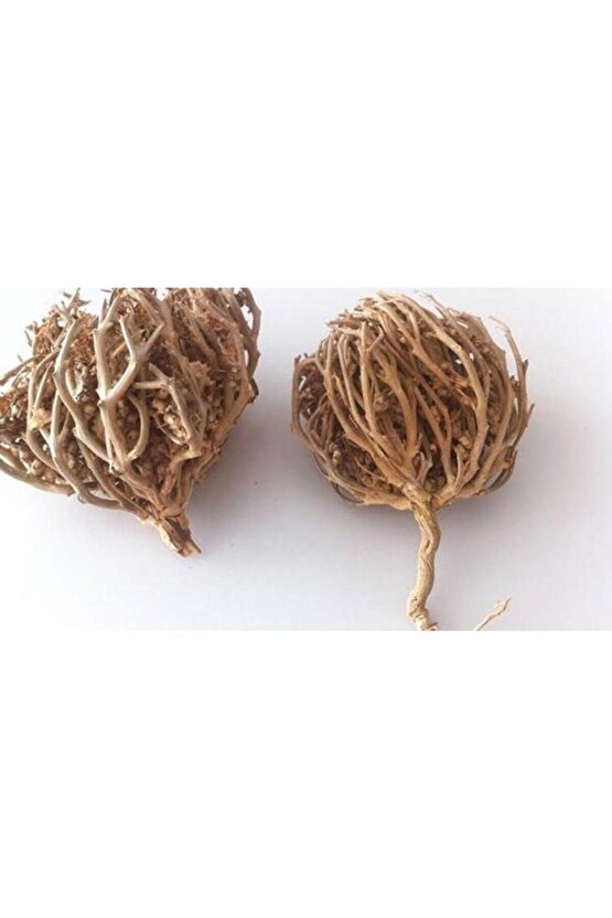 Meryem Ana Eli Otu 100 Gr