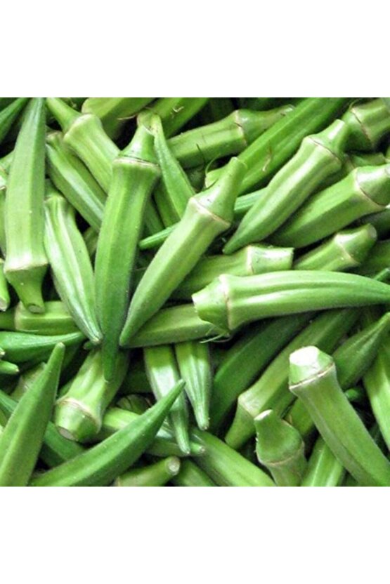 Kısa Tüysüz Bamya Tohumu  10 Gram