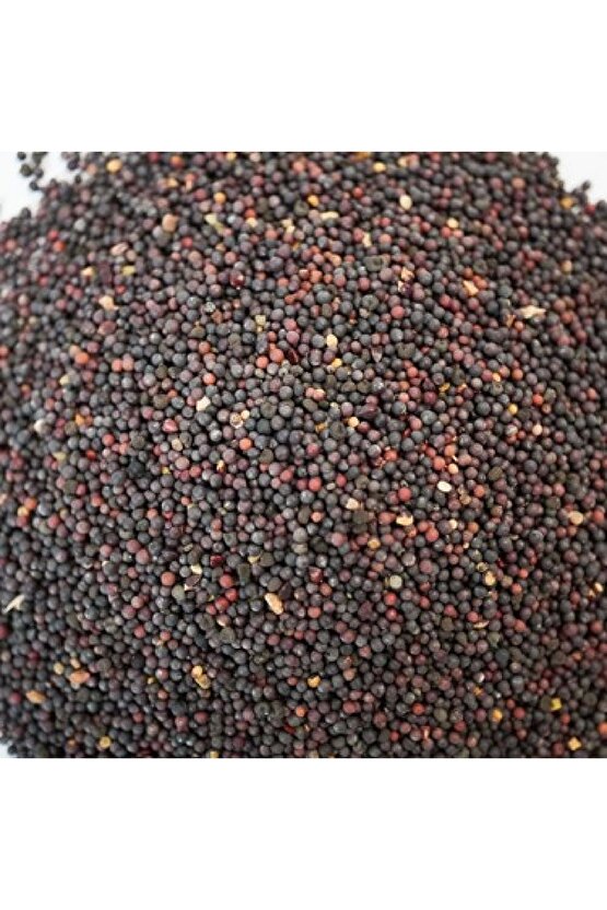 Siyah Hardal Tohumu 50 gr, Derya Eren