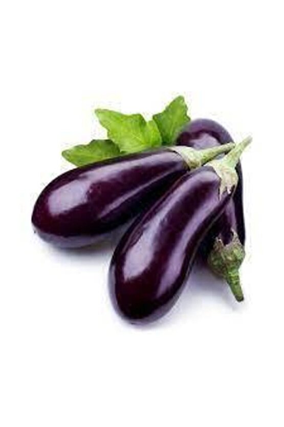 10 Adet Tohum Kemer Palıcan Tphumu Orjinal Yerli Tohum Kemer Patlıcanı Tohumu Sürpriz Hediye Tohumlu