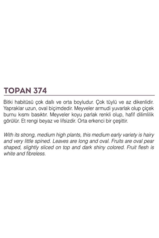 Ata Tohumu Yöresel Yerli Doğal Topak Patlıcan Tohumu 100 Adet Tohum