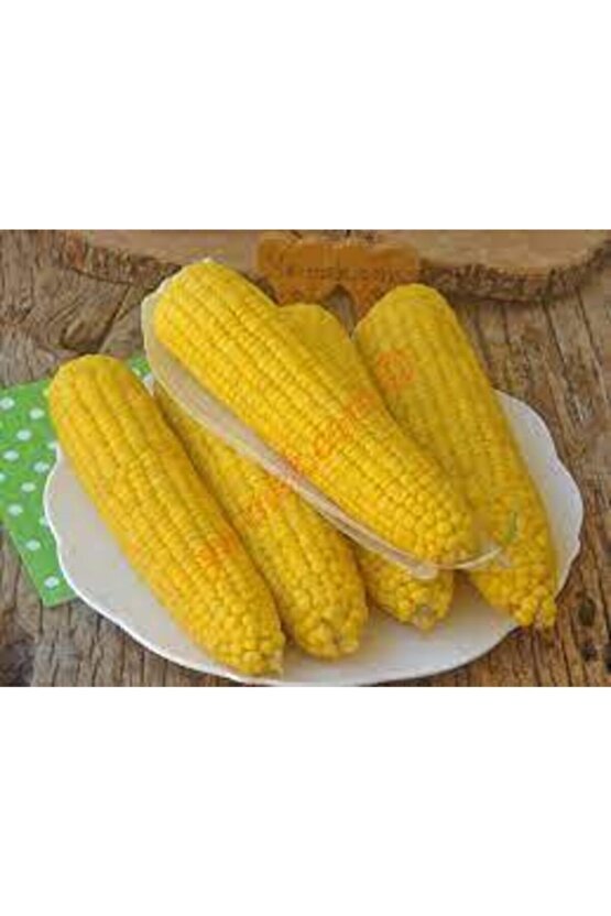 100 Adet Tohum Eko Paket Süt Mısırsüt Mısır Tohumu Darı Tohumu Mısır Tohumu