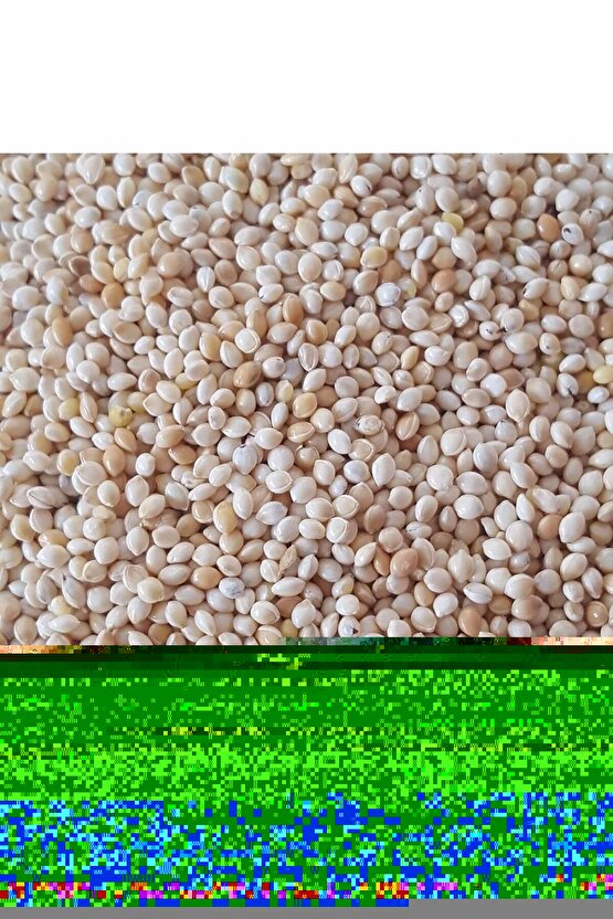 200 gr - Kuş Yemi Ak Darı Beyaz Darı - (AKDARI)