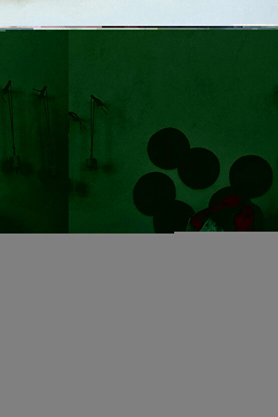 200 gr - Deve Dikeni Tohumu - Milk Thistle Seeds