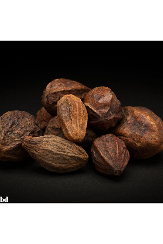 Sarı Halile 100 gram ( Terminalia Chebula ) Sarıhalile Bitkisi