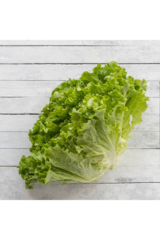 Marul Tohumu Kıvırcık İri Göbekli - 2500 adet - açık yerli tohum