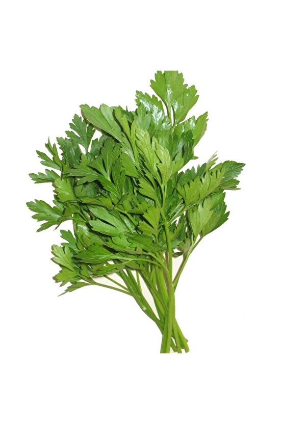 Maydonoz 25 Gram Tohum